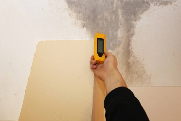 Best Mold Documentation for Insurance Claims  in Wagner, SD