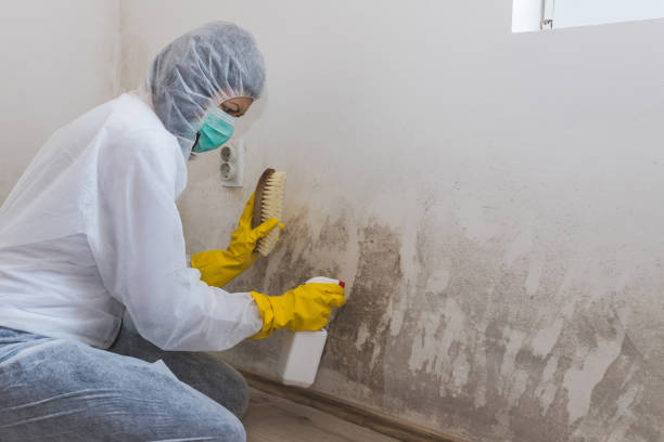 Best Airborne Mold Testing  in Wagner, SD