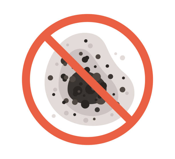 Best Comprehensive Air Testing for Mold Contaminants  in Wagner, SD