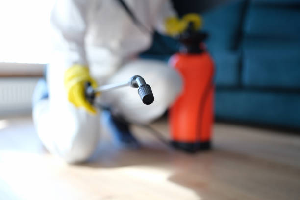 Best Environmental Consulting for Mold Prevention  in Wagner, SD